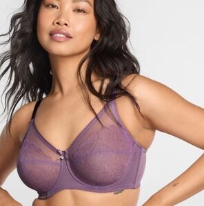 NWT Wacoal Retro Chic Full Figure Underwire Bra Unlined Lace Sheer 36DDD 36E